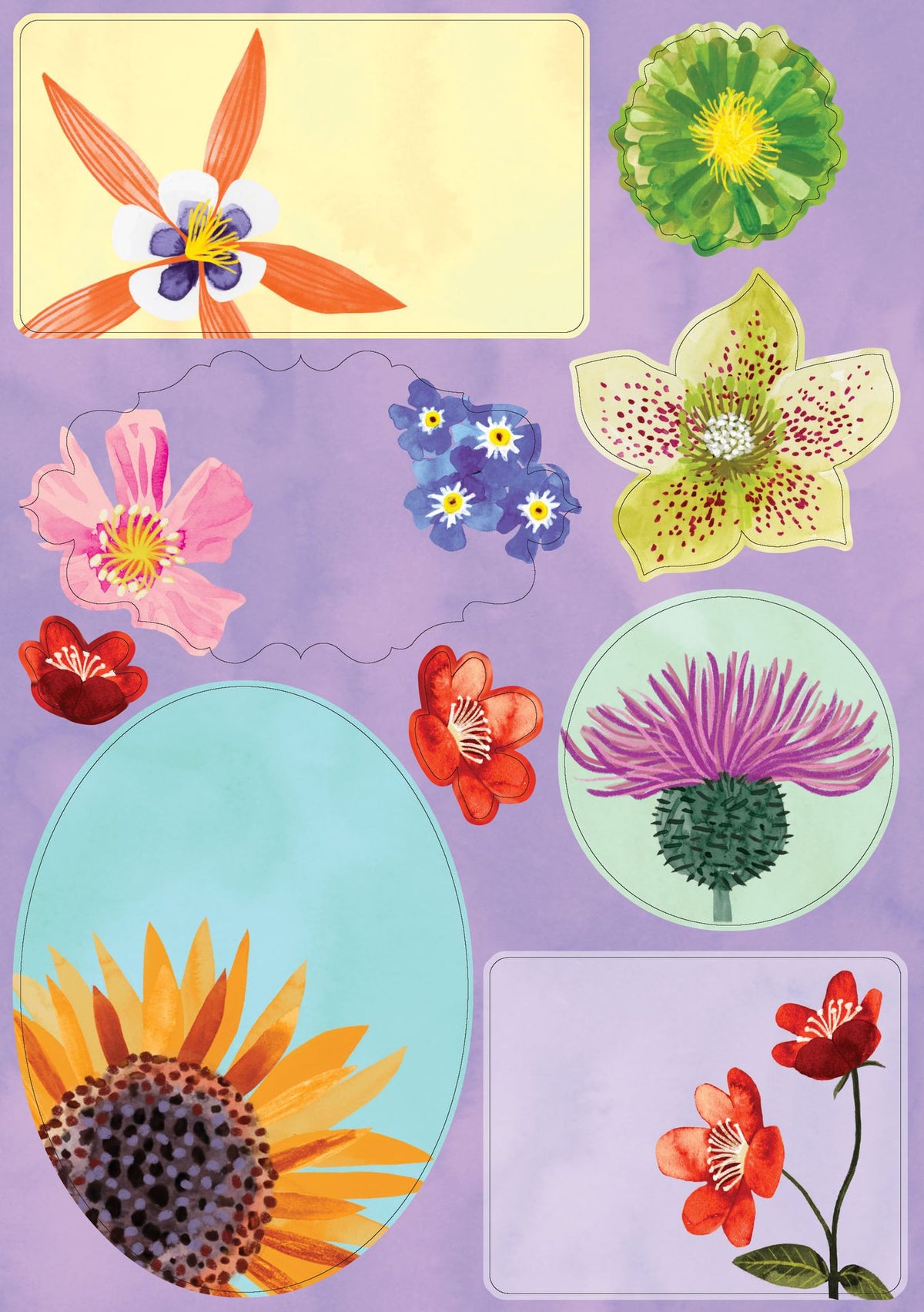 Kirjepaperisetti Roger la Borde - Floral Supernova