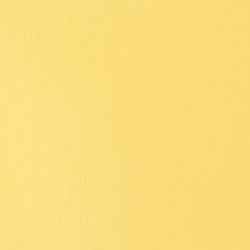 Liquitex Basics 118ml akryyliväri - 601 Naples Yellow Hue