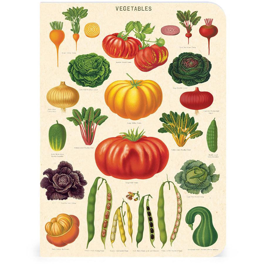 Muistikirjasetti Cavallini mini - Le Jardin